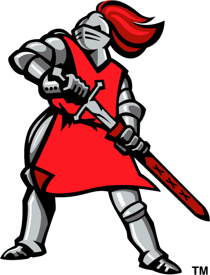 Rutgers Scarlet Knights 1995-Pres Alternate Logo v2 DIY iron on transfer (heat transfer)